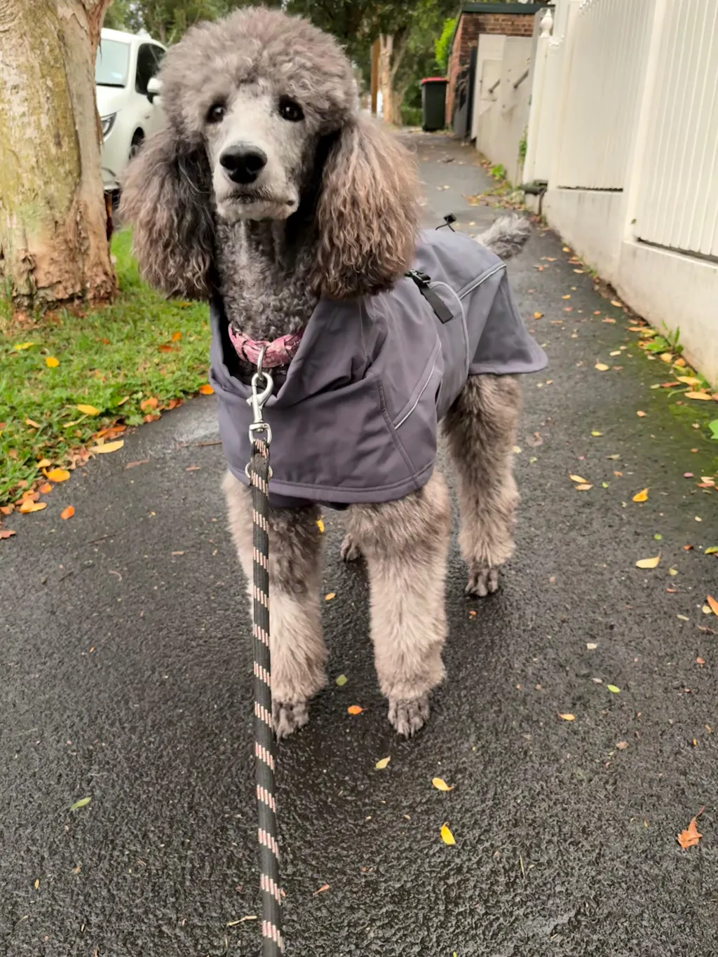Waterproof Jacket - Slate Blue