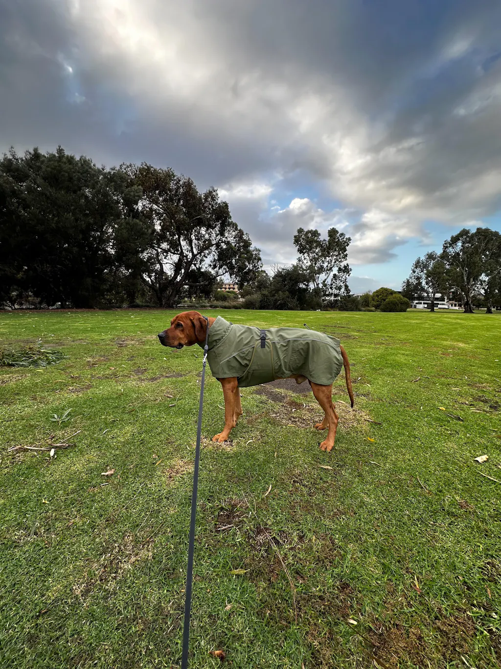 Waterproof Jacket - Green