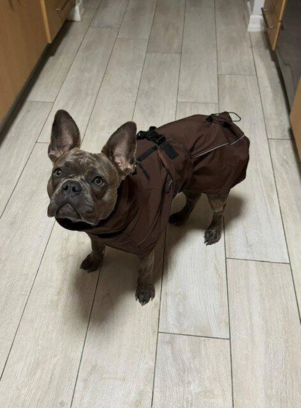 Waterproof Jacket - Maroon Brown