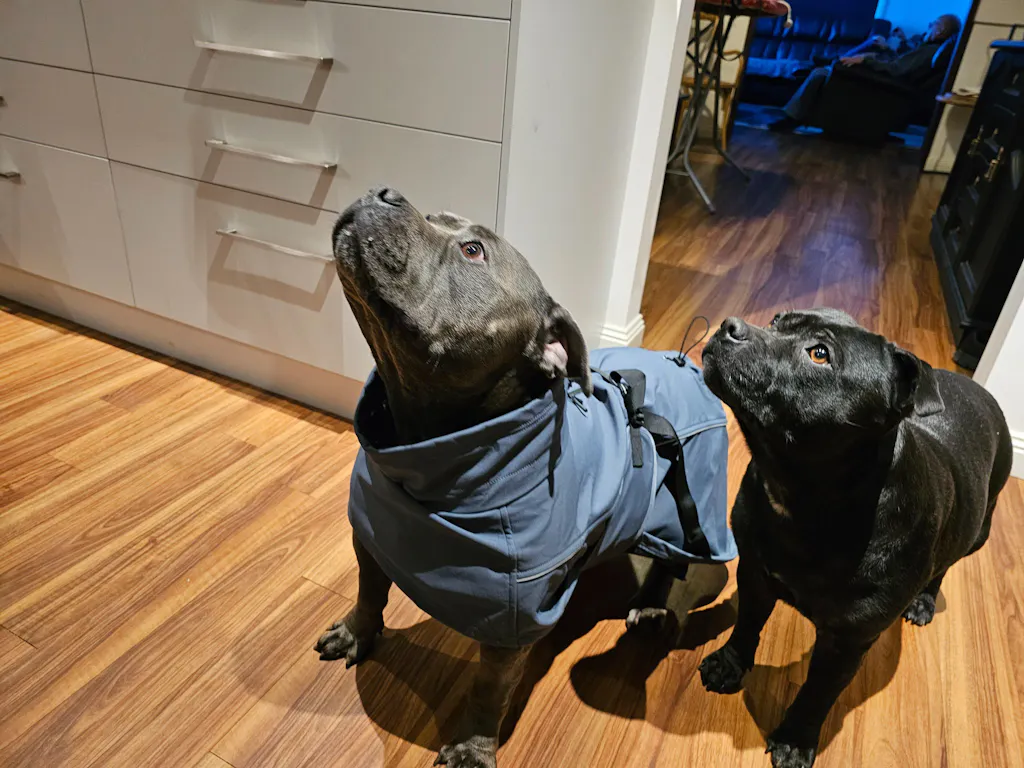 Waterproof Jacket - Slate Blue