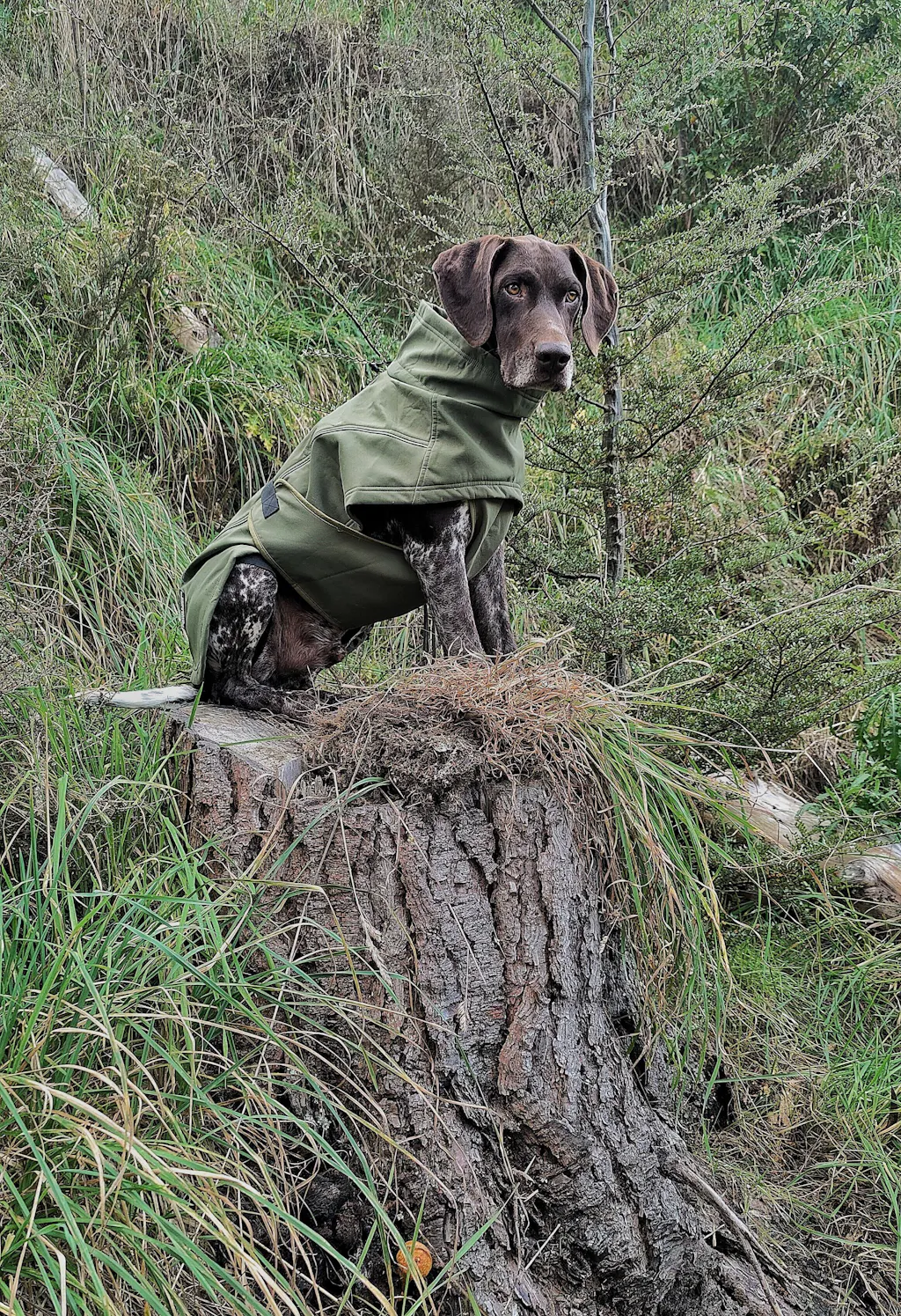 Waterproof Jacket - Green