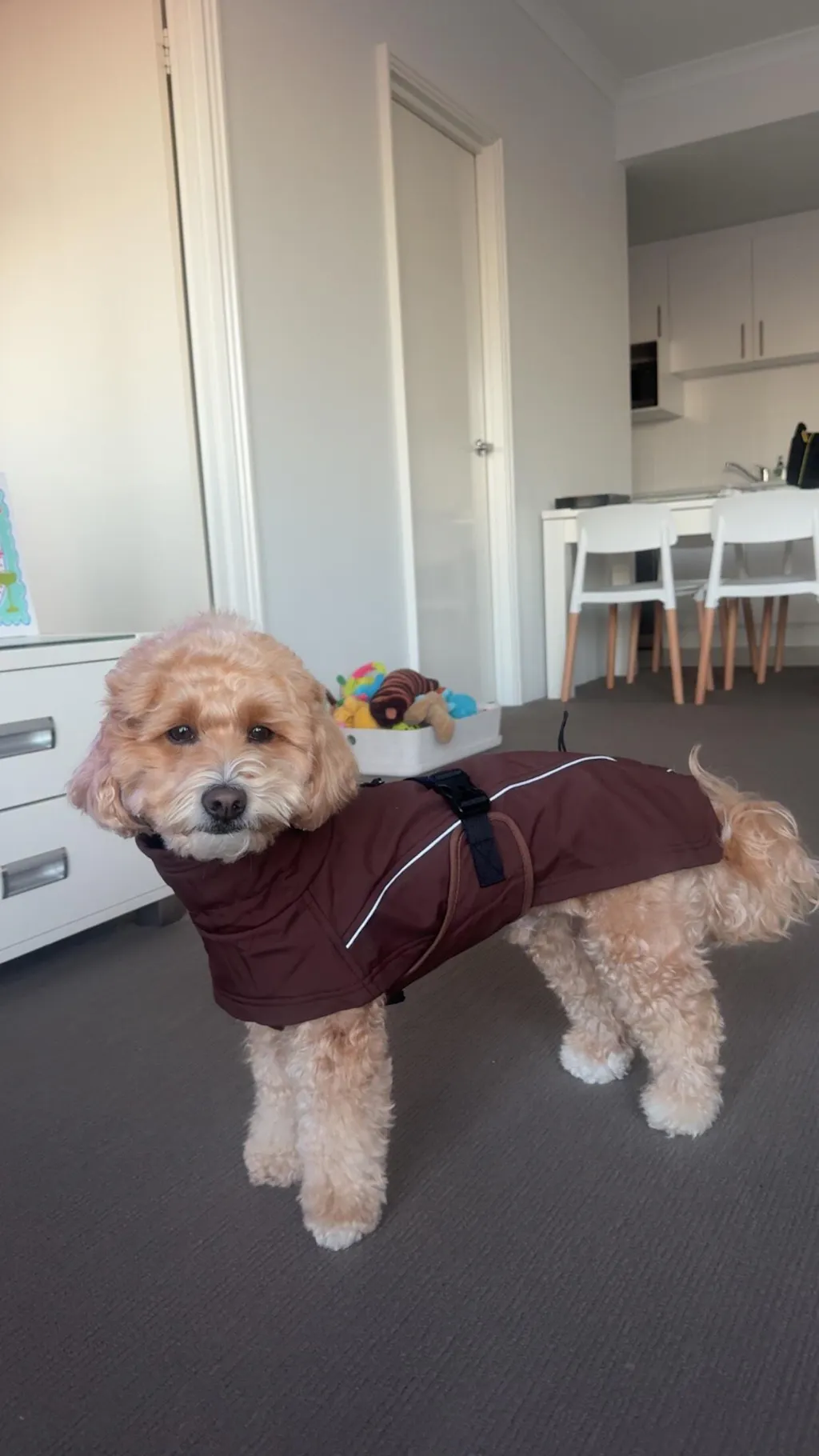 Waterproof Jacket - Maroon Brown