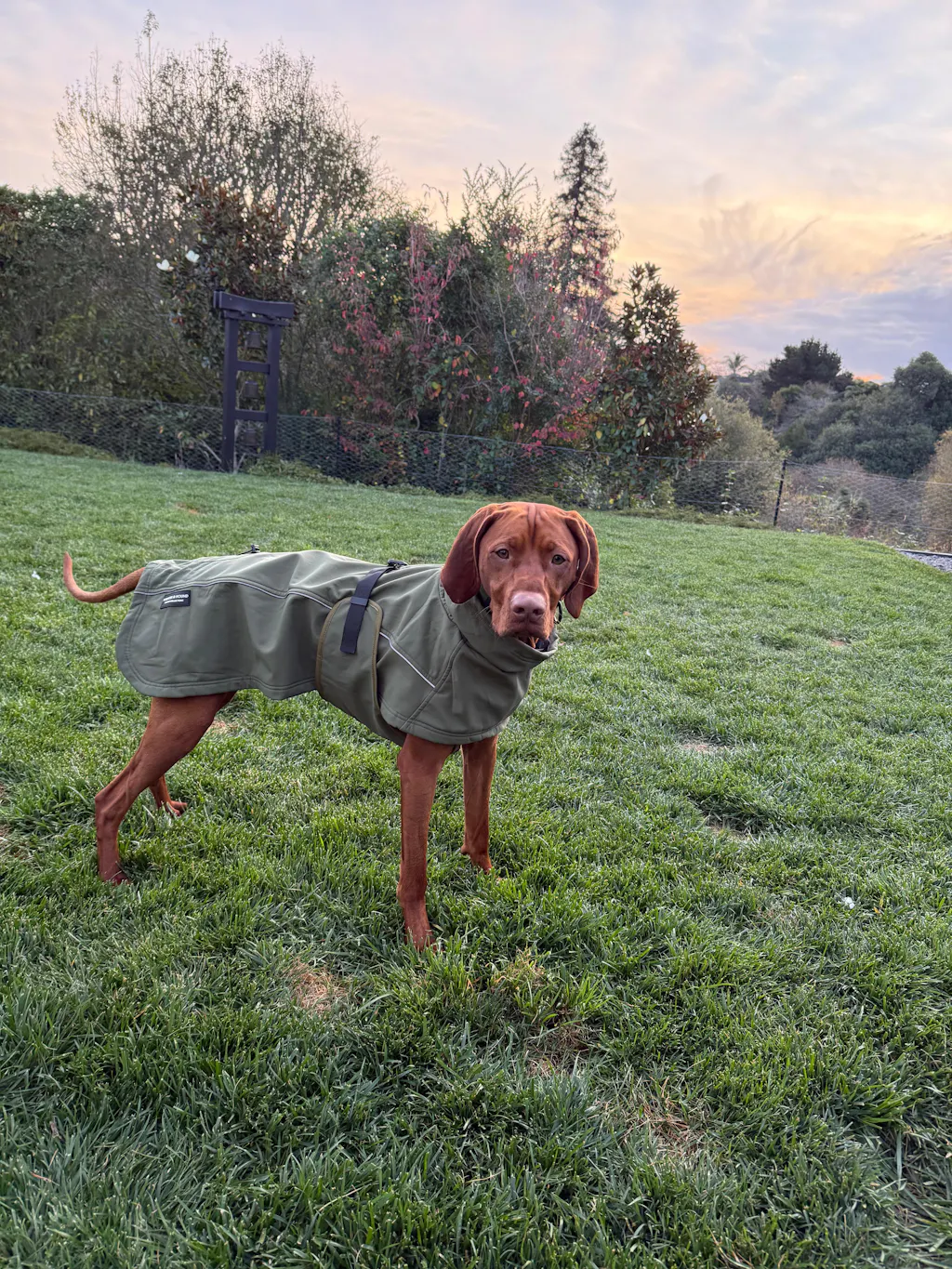 Waterproof Jacket - Green