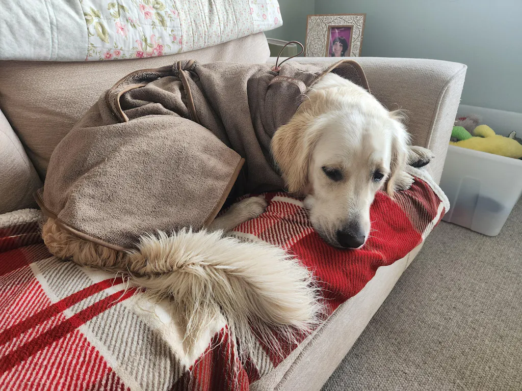 Drying Robe
