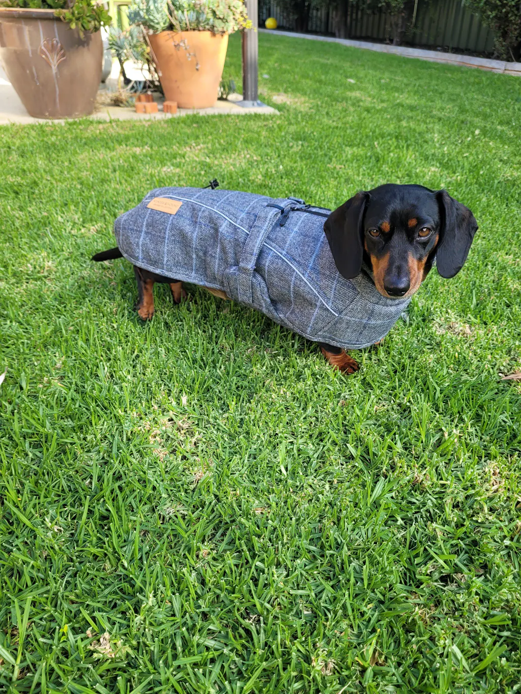 Highland Coat - Grey