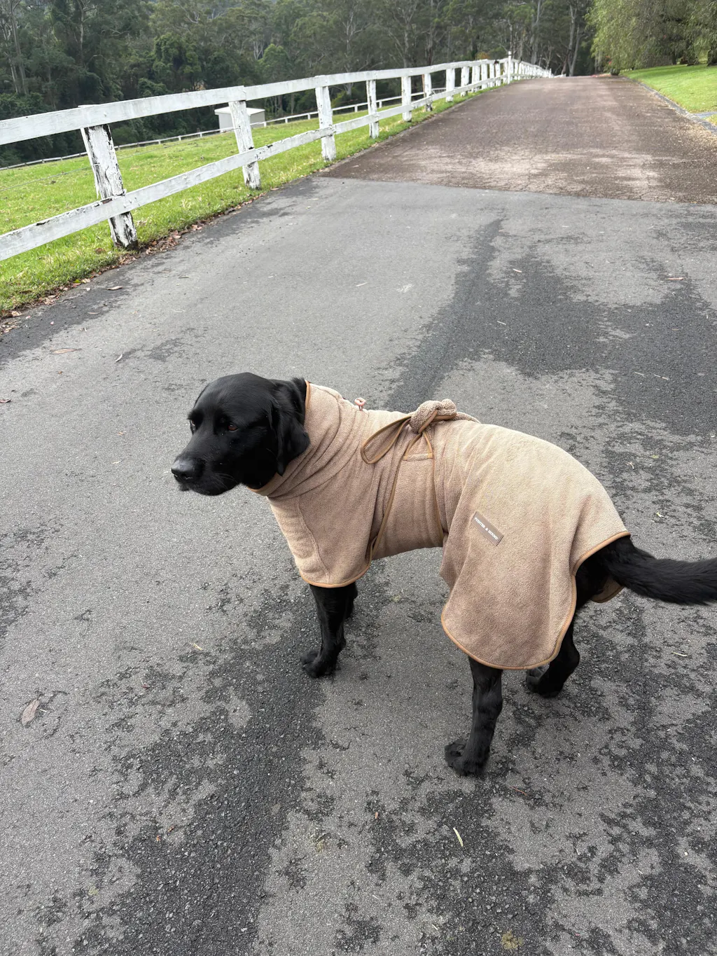 Drying Robe