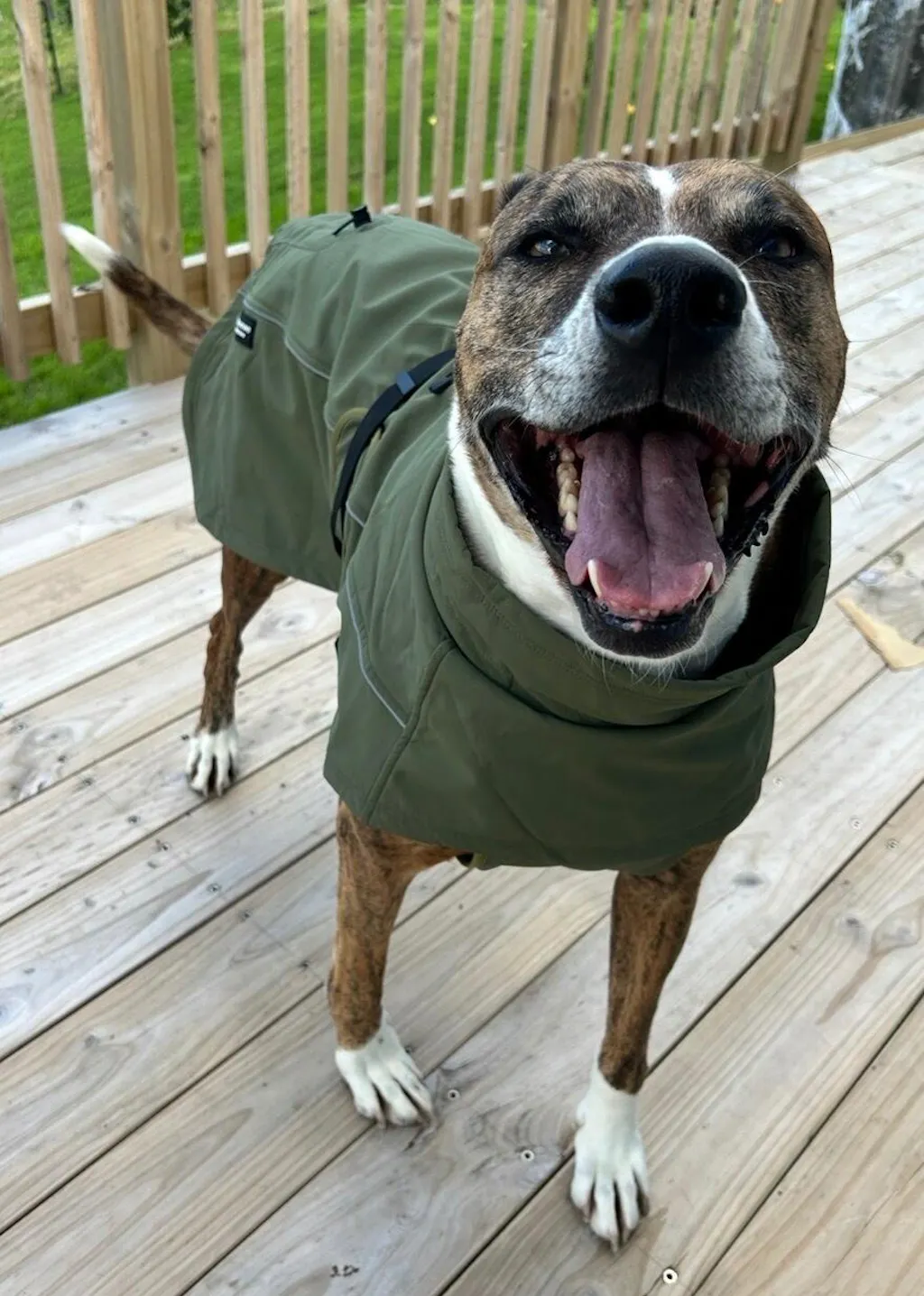 Waterproof Jacket - Green