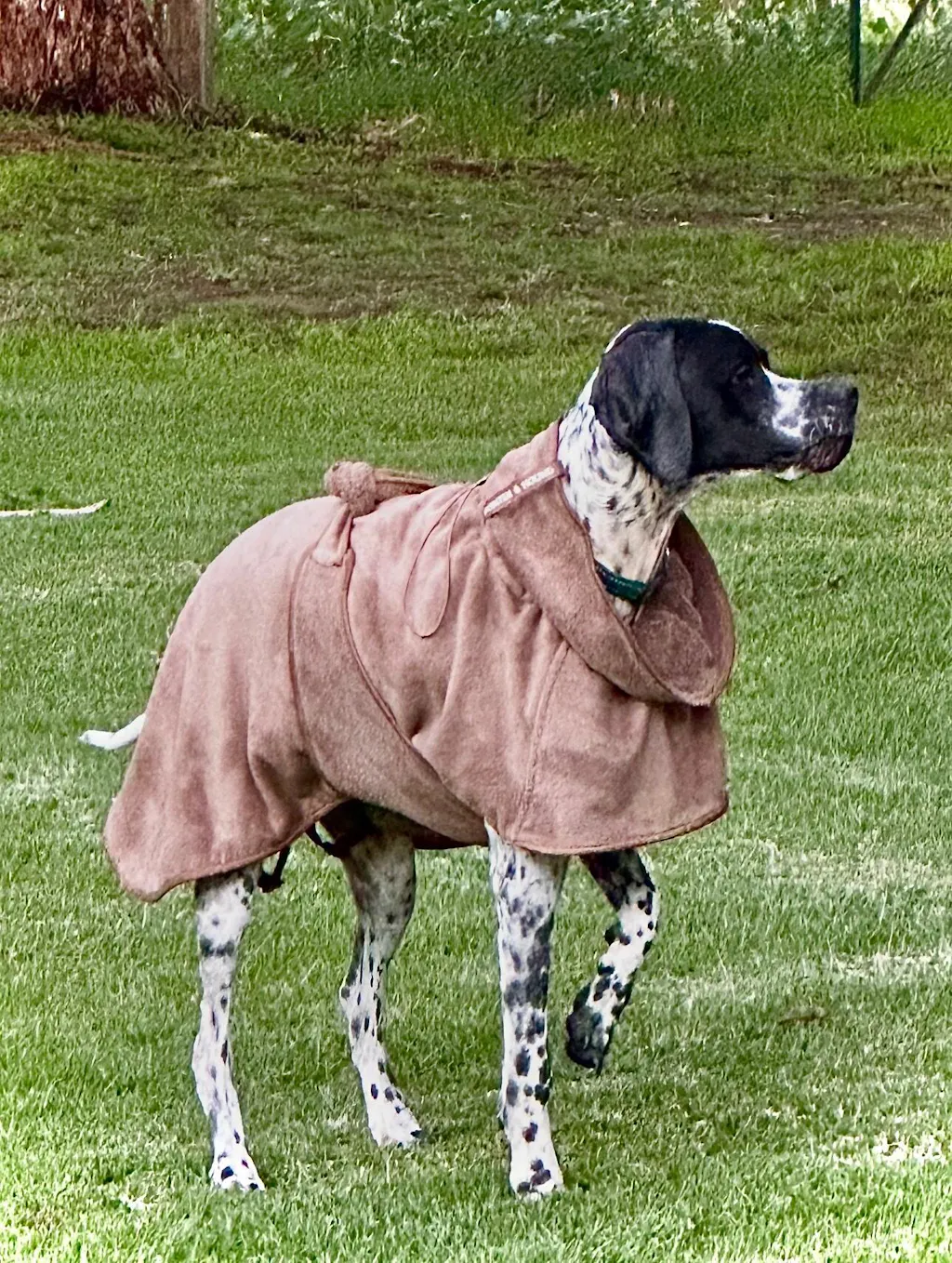 Drying Coat