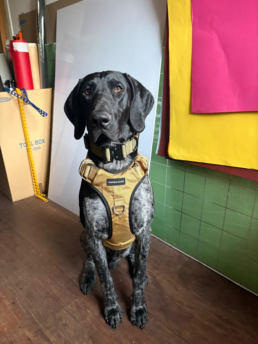 Tactical Harness - Tan