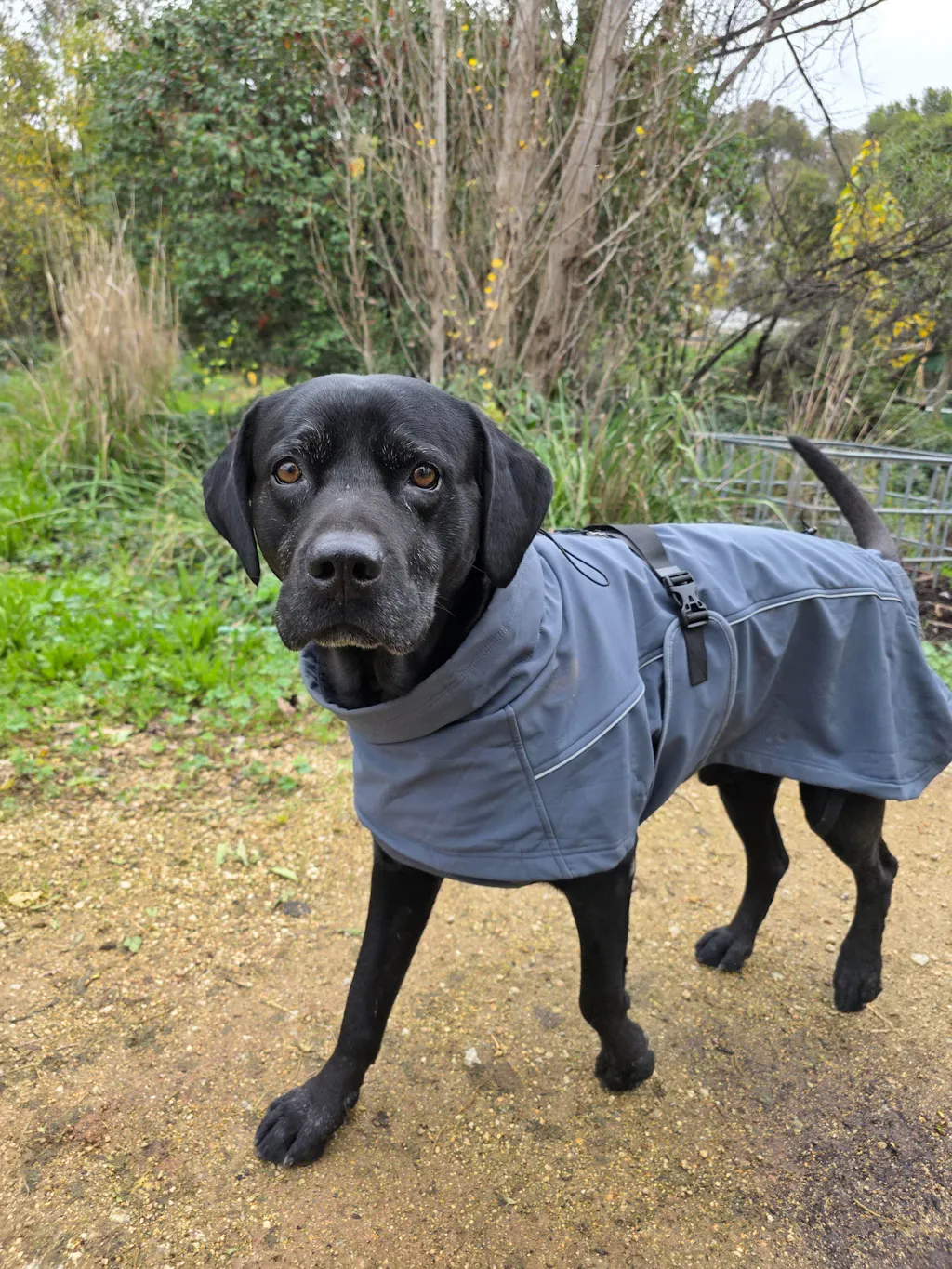 Waterproof Jacket - Slate Blue