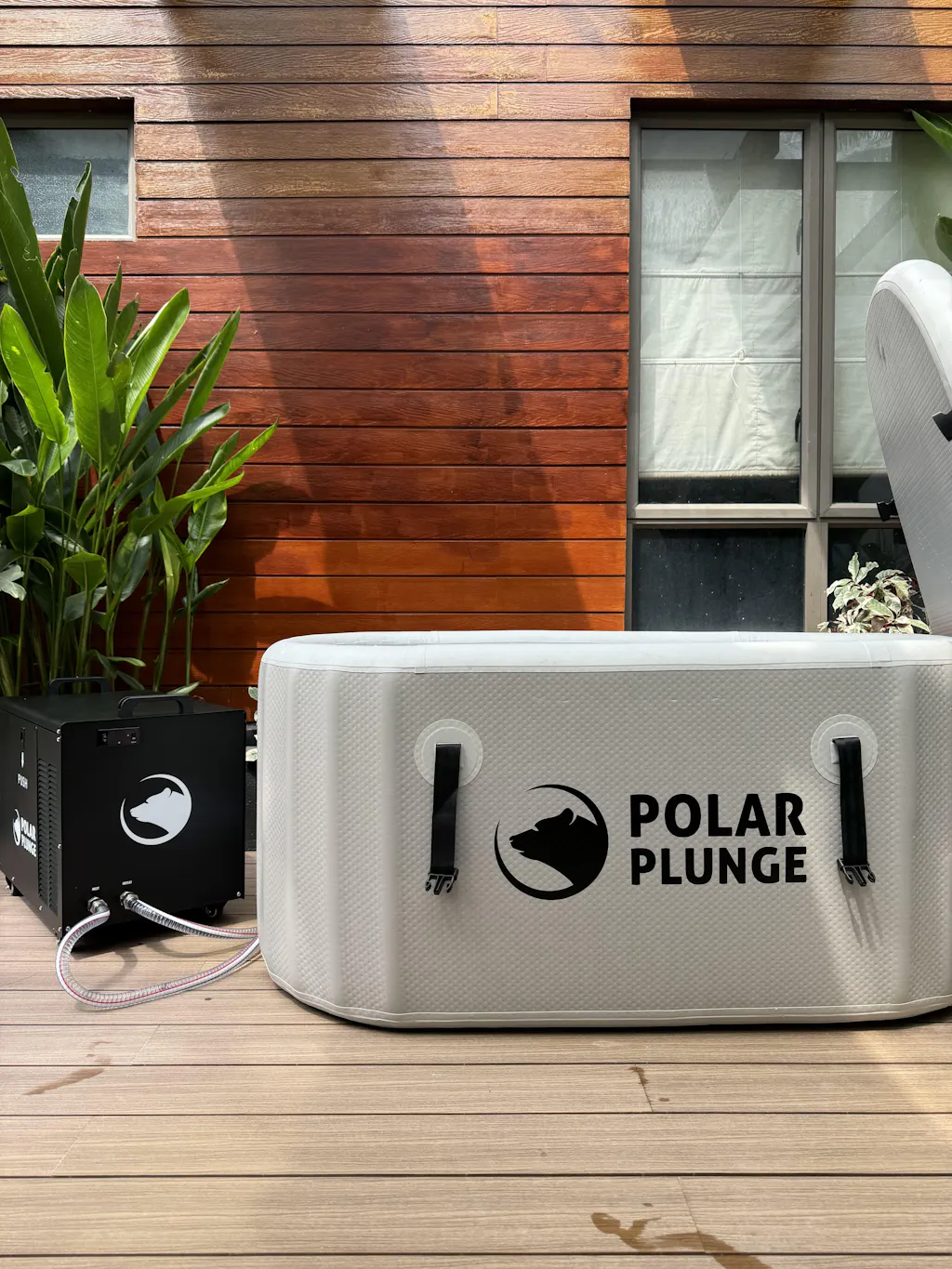Polar Plunge Skinny Strap
