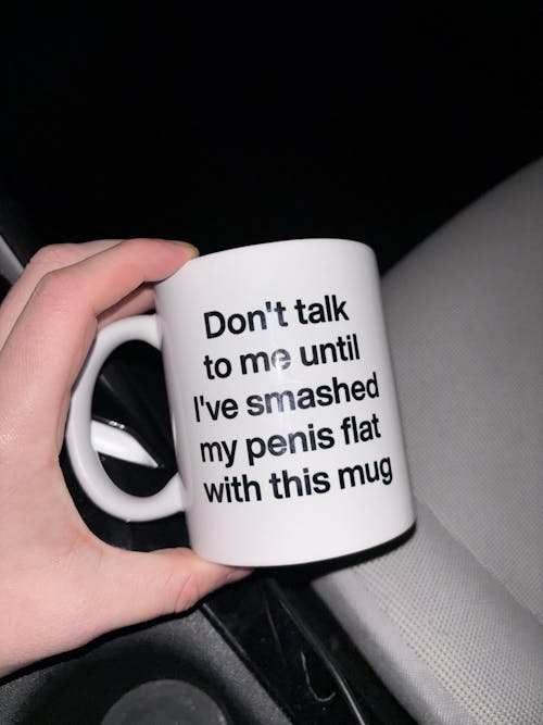 Don't talk to me until I've smashed my penis flat with this mug.