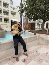 Pom D'Azur