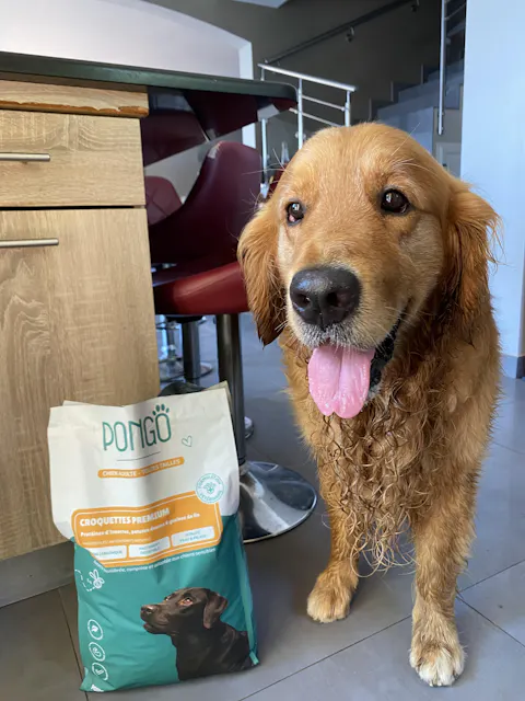 Croquettes aux insectes | Hypoallergéniques | Sans céréales | Chien toutes tailles