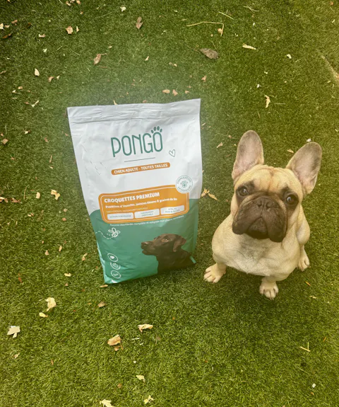Croquettes aux insectes | Hypoallergéniques | Sans céréales | Chien toutes tailles
