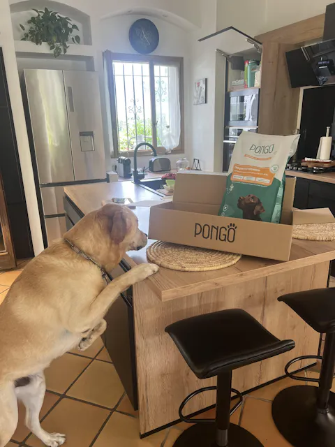 Croquettes aux insectes | Hypoallergéniques | Sans céréales | Chien toutes tailles