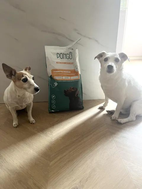 Croquettes aux insectes | Hypoallergéniques | Sans céréales | Chien toutes tailles