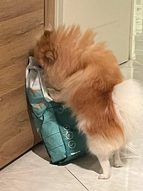 Croquettes aux insectes | Hypoallergéniques | Sans céréales | Chien toutes tailles