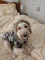 Luxury Camouflage Fish Tail Parka Dog Coat