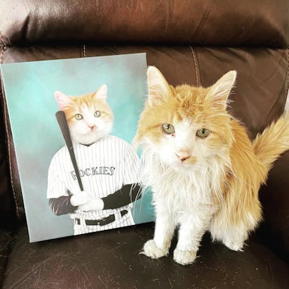 Custom Baseball Player Portrait for Jessie – Praise My Pet!