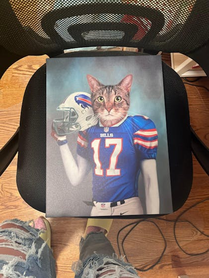 Custom American Football Pet Portrait . Dallas Cowboys Jersey Pet Portrait  . Sports Pet Portrait . Custom Dog Portrait . Pet Portrait . FB2