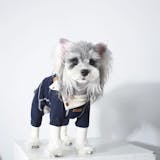 Warm Full-Cover Four-Leg Dog Onesie