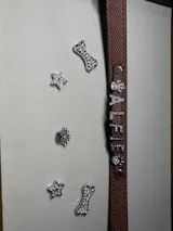 Personalised Leather Dog Collar with Letter Charms