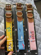 Embroidered Leather Dog Collar and Lead Set