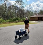 All Terrain Folding Wagon