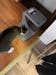 PortionPro Rx Pet Feeder