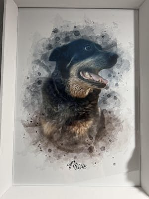 Watercolour Pet Illustration