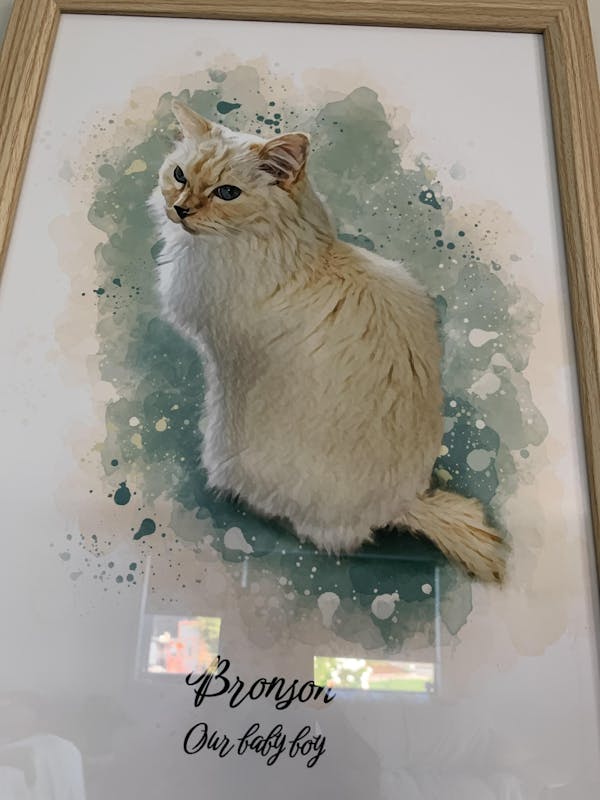 Watercolour Cat Portraits