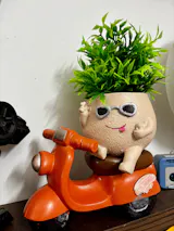 User picture