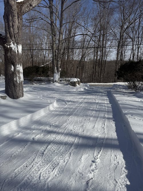 24'' 252cc Two Stage Self-Propelled Gas Snow Blower w/ Electric Start DB7109 (Web Exclusive)