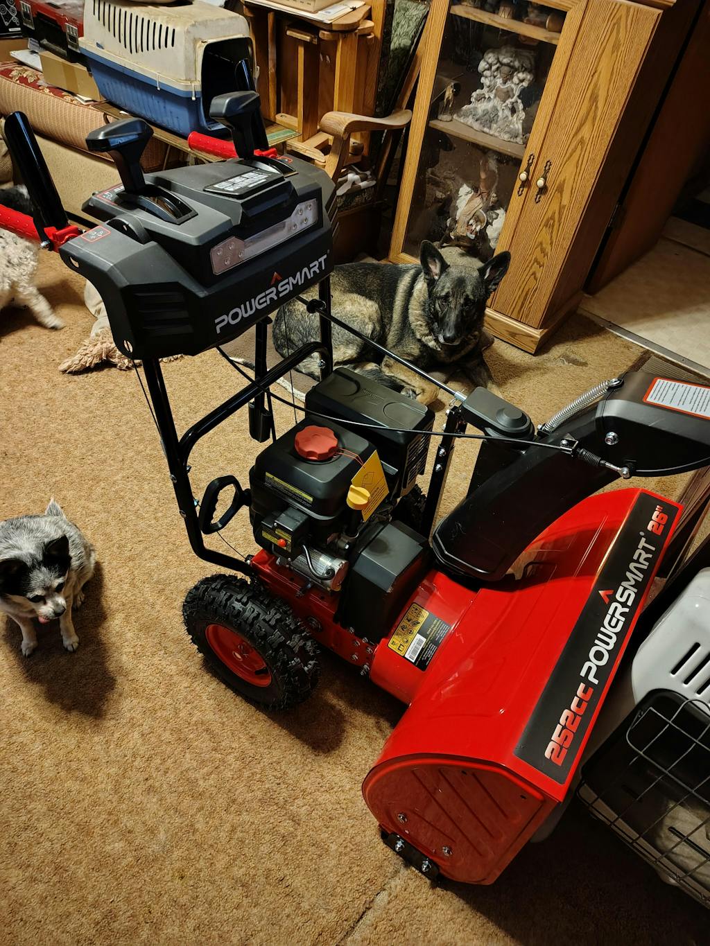 24'' 252cc Two Stage Self-Propelled Gas Snow Blower w/ Electric Start