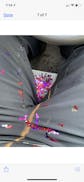 Spring Loaded Dick Bomb