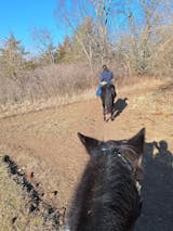 PJS All In One Leg Solution