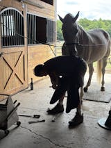 PJS All In One Leg Solution