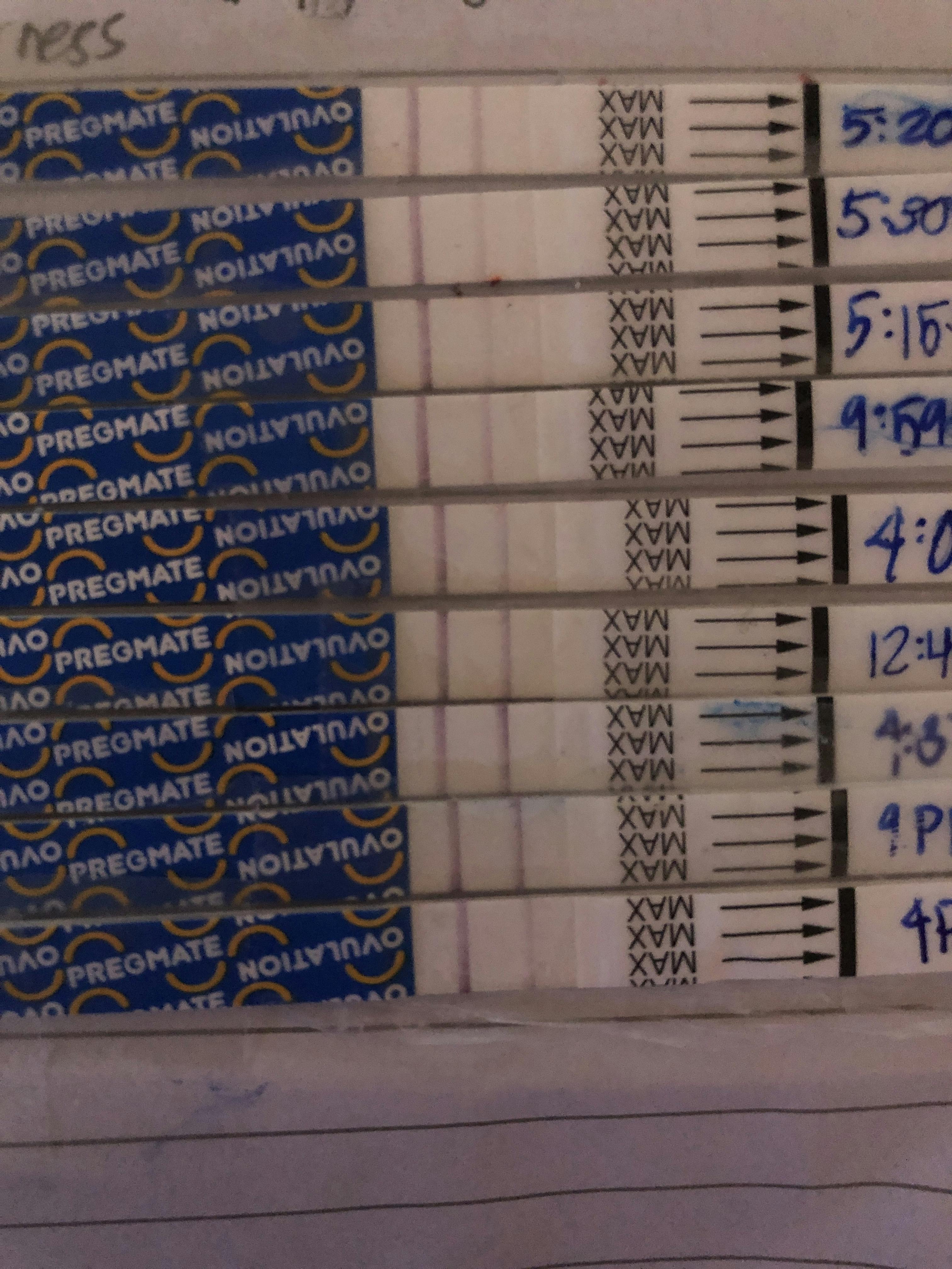 Faint Line On Pregmate Pregnancy Test Captions More Faint Line On Pregmate Pregnancy Test Captions More