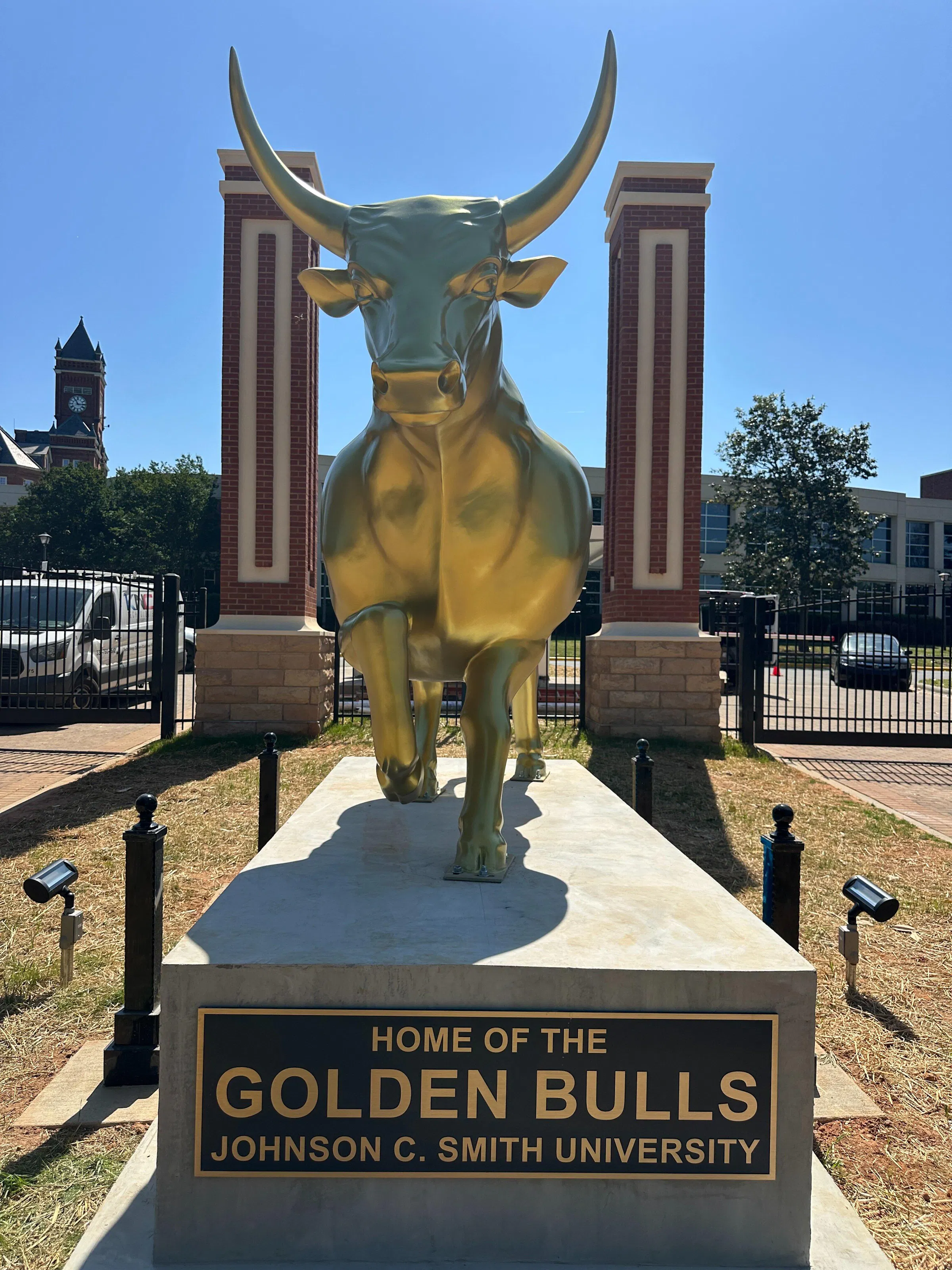 PREMIER Outdoor Sculpture Bronze Bull Large Metal Sculpture PSB-034
