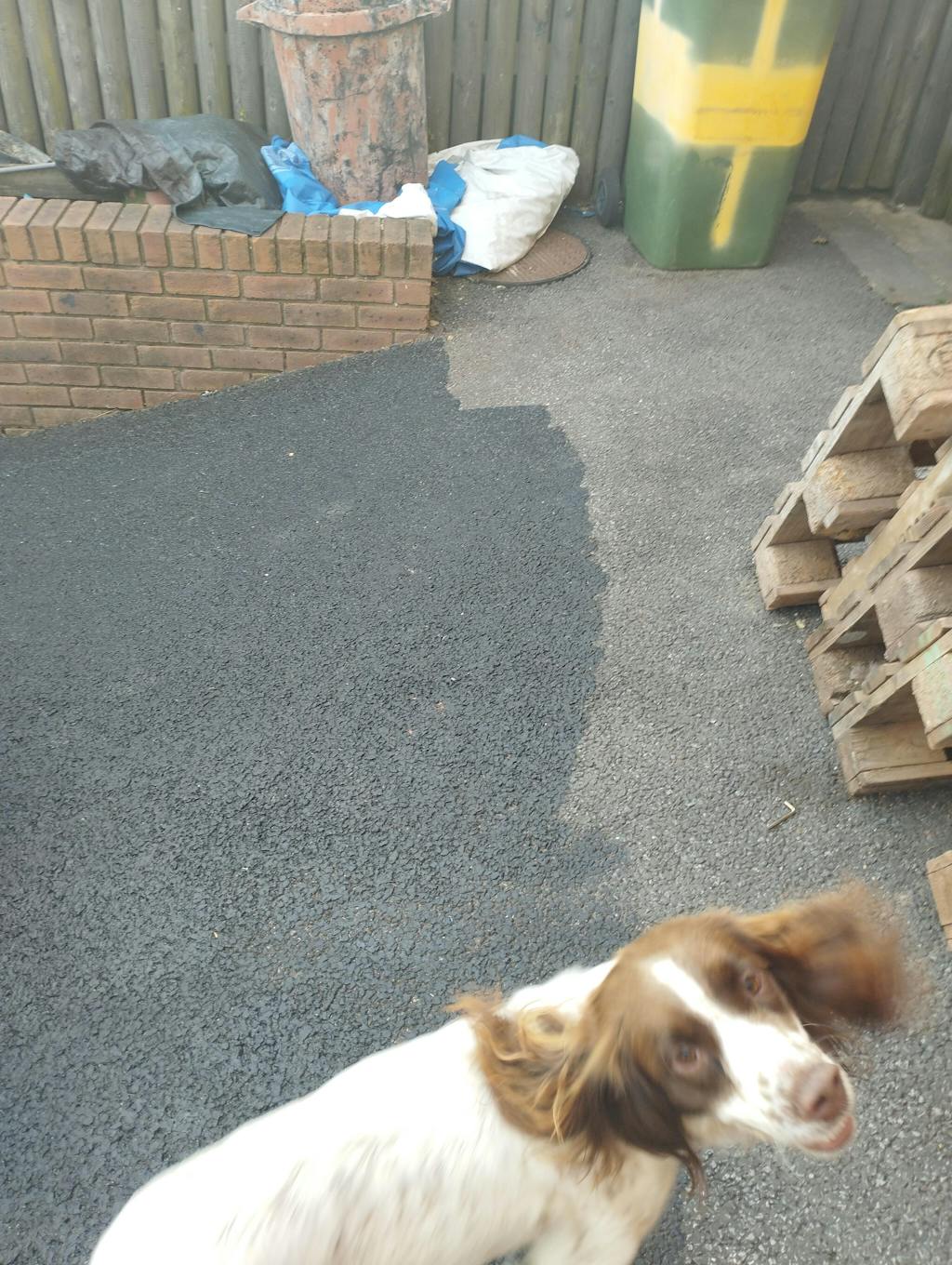 Paintmaster Tarmac Paint and Sealer Acrylic Based 20 Litre