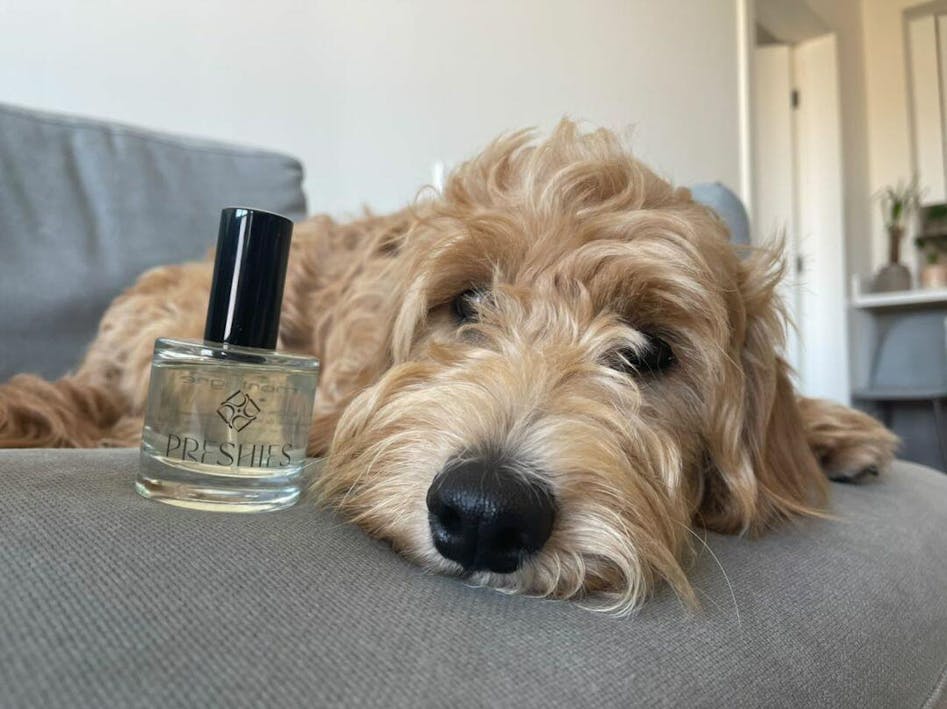 Preshies - Cedar & Patchouli Dog Perfume
