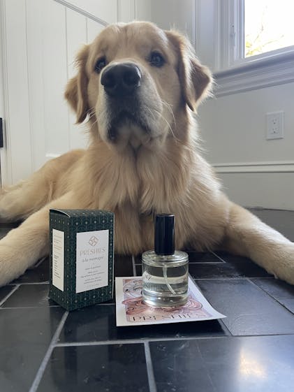Preshies - Cedar & Patchouli Dog Perfume and Coat Conditioner