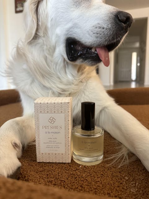 Amber Vanilla Dog Perfume