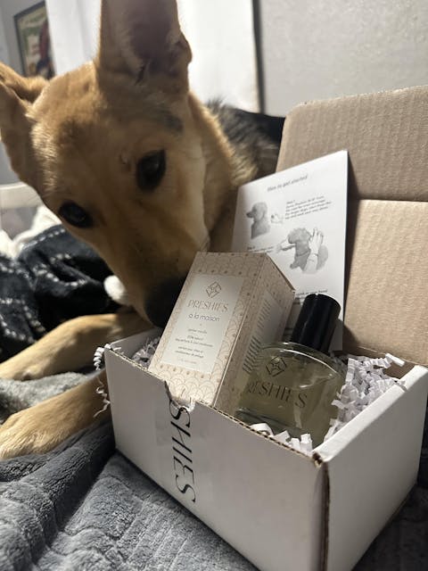Amber Vanilla Dog Perfume