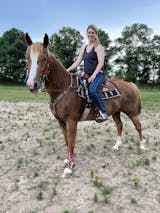 LV latigo & boot covers shown off in this picture. 😍😍 LV latigo & Billets  will be restocking very - Pretty Polos by Jessie & Lopin' With Grace  Tack & Design Co.