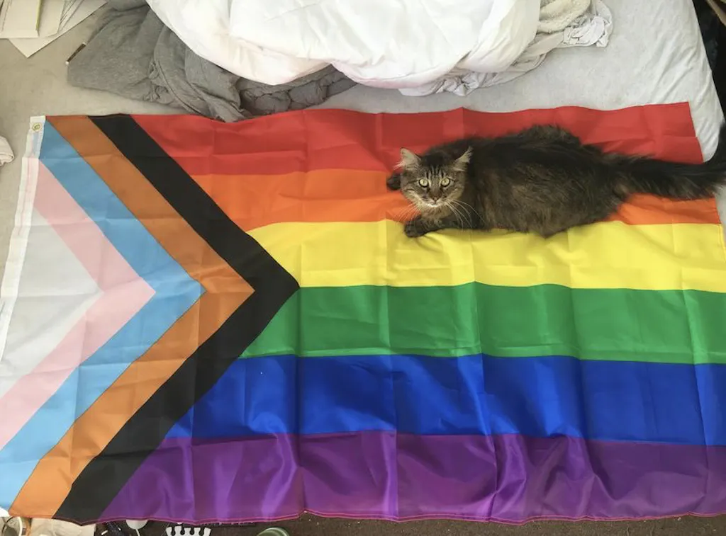 Progress Pride Flag
