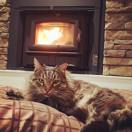 Buck Stove Model 91 Wood Stove