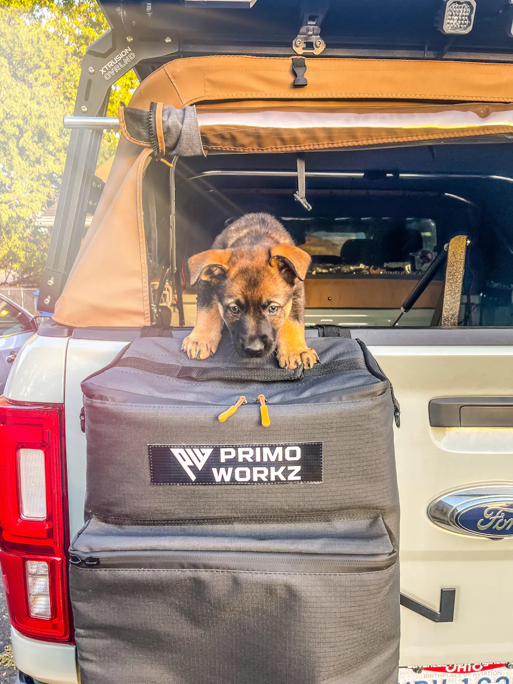 Tailgate Pad Replacement | Primo Workz Tailgate Bag