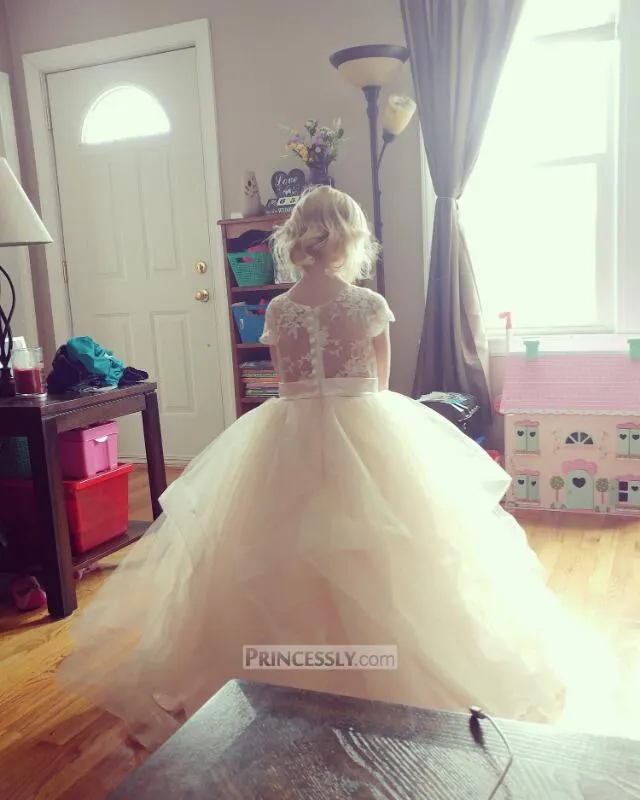Princess Ivory Lace Pink Tulle Short Sleeves Wedding Flower Girl Dress main image 0
